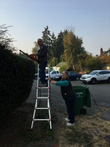 Man trimming bushes with electric tool while woman holds ladder on which man is standing